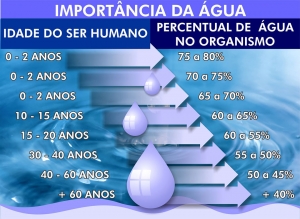 A import&acirc;ncia da &aacute;gua para nosso bem-estar